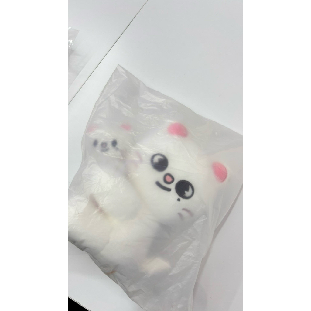 SKZOO JINIRET LEEBIT MAGNET 1 SET