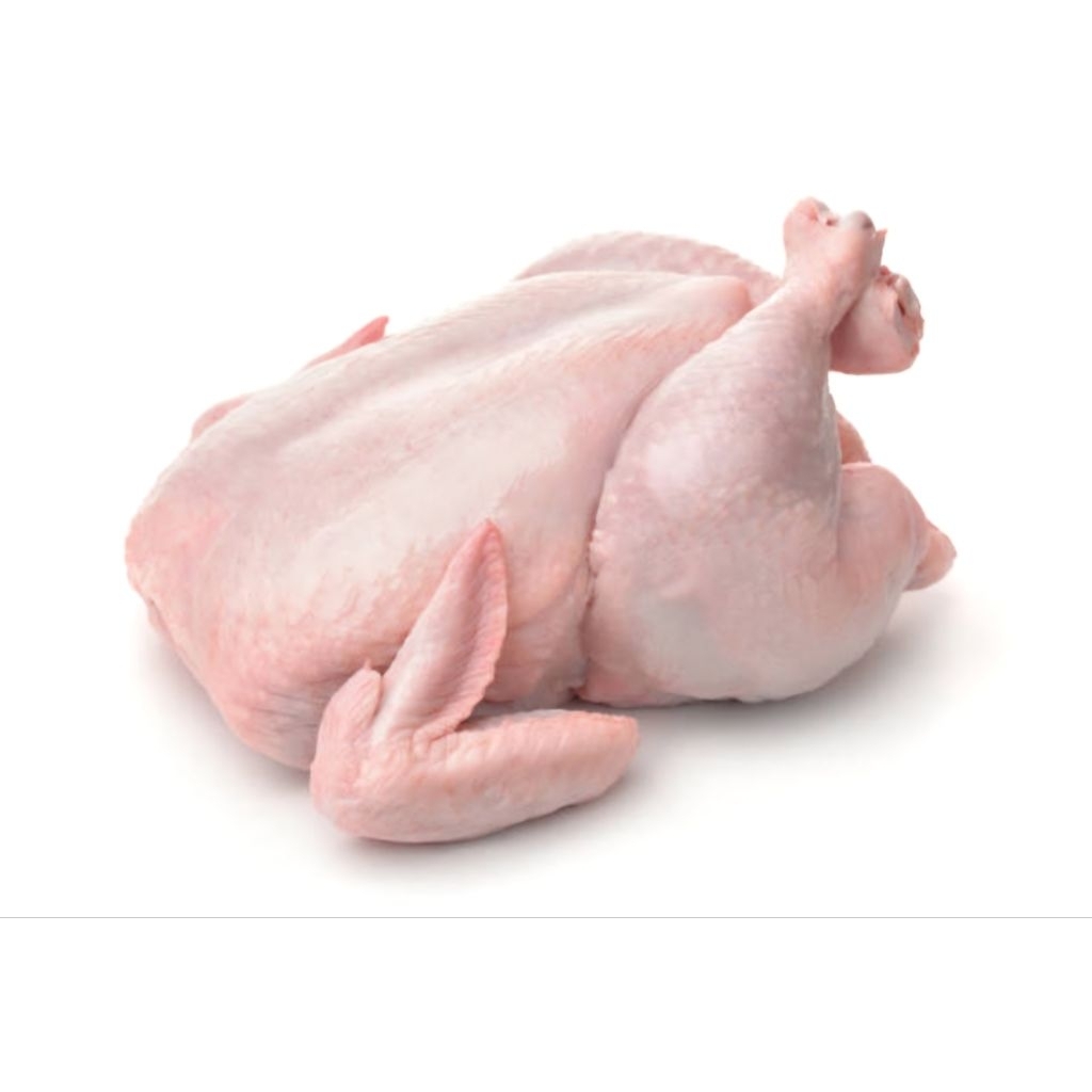 Ayam Broiler Frozen