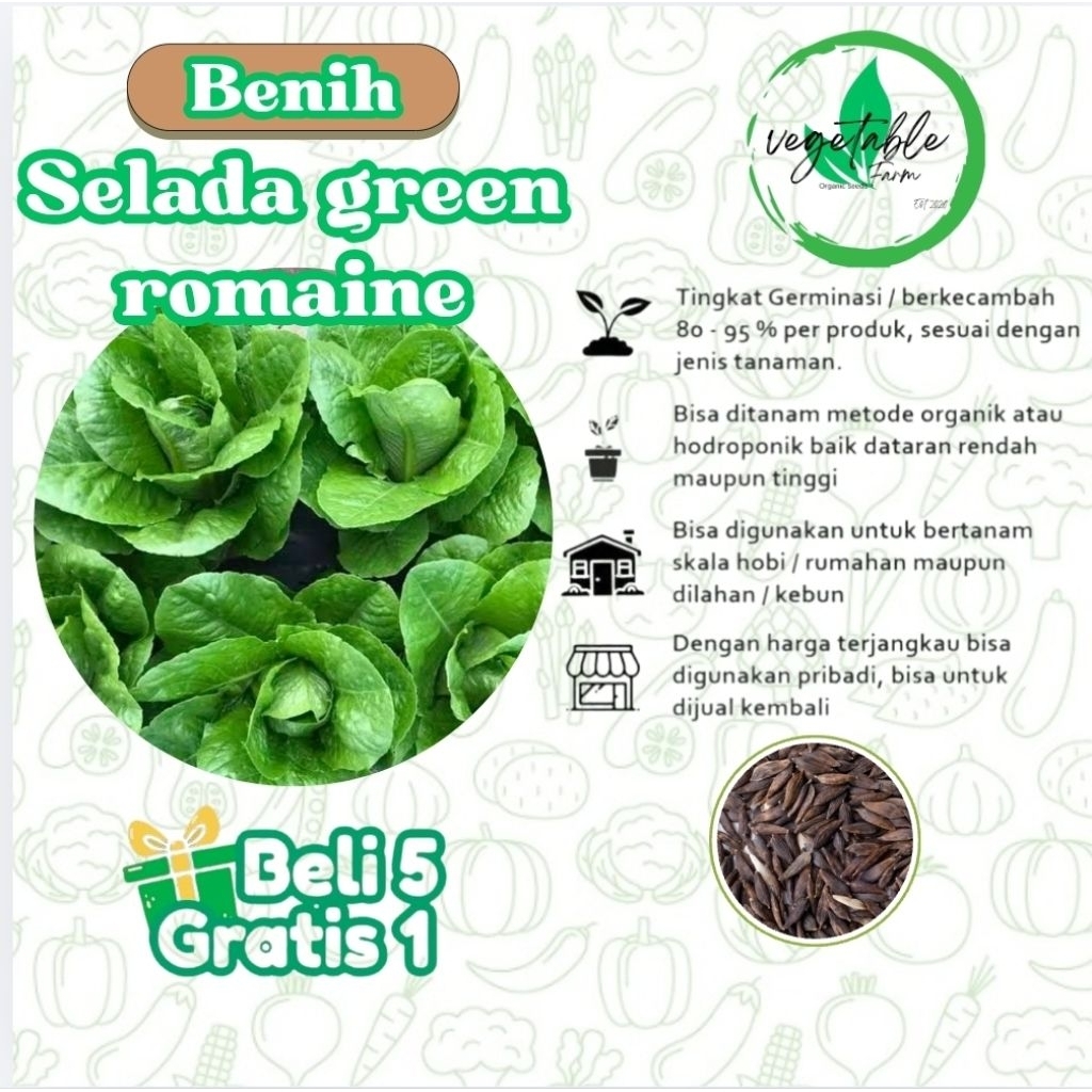 50 Biji - Benih selada green romaine