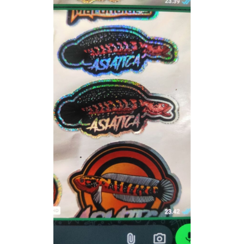 stiker channa asiatica RSP FULL RED