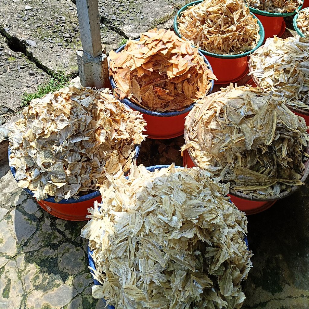 IkanAsinTawarSibolga