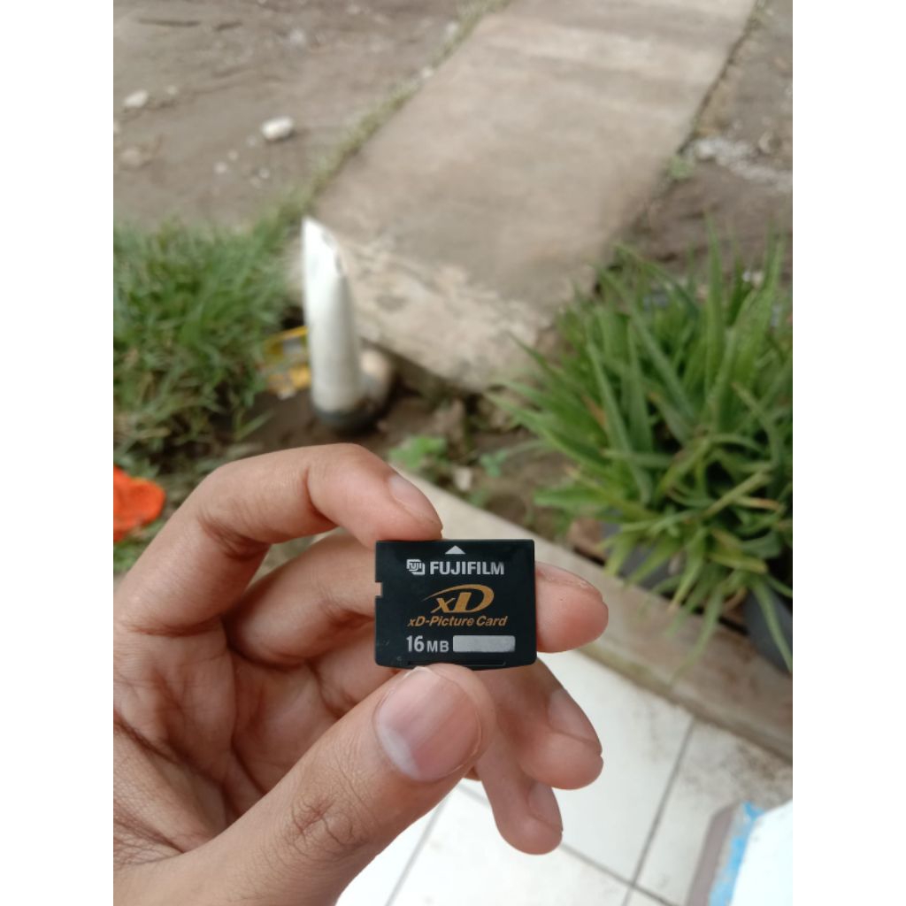 memori fujifilm xd picture card 16mb