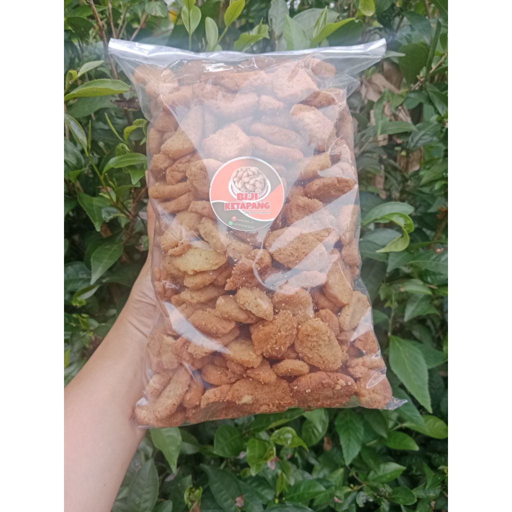 Biji ketapang kelapa 250gr -1kg