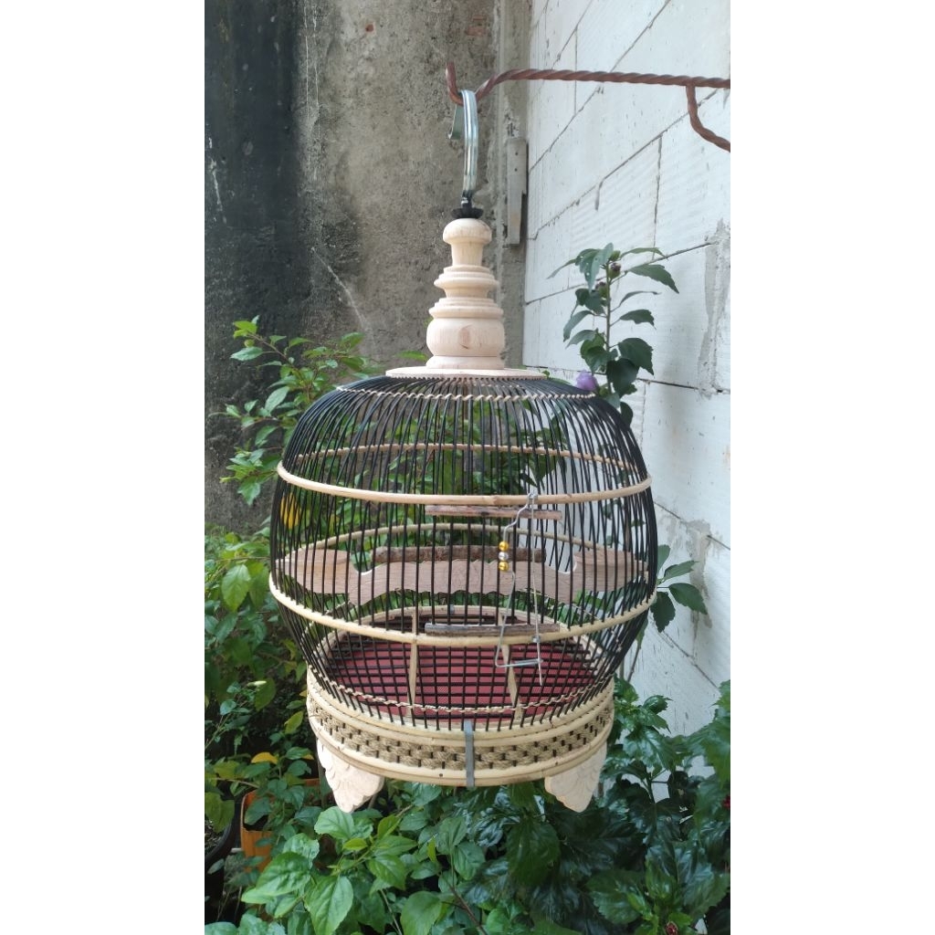 sangkar .minion perkutut