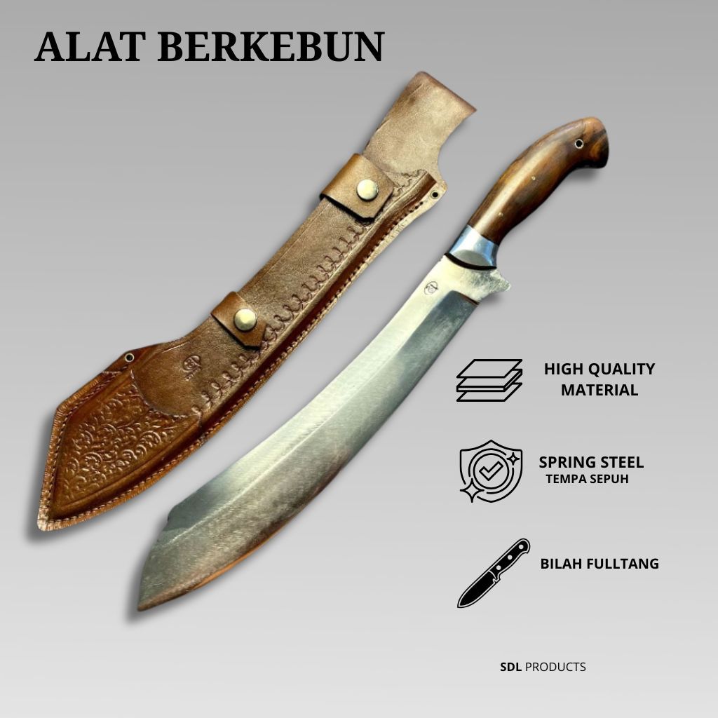 golteb survival bushcraft model bowie