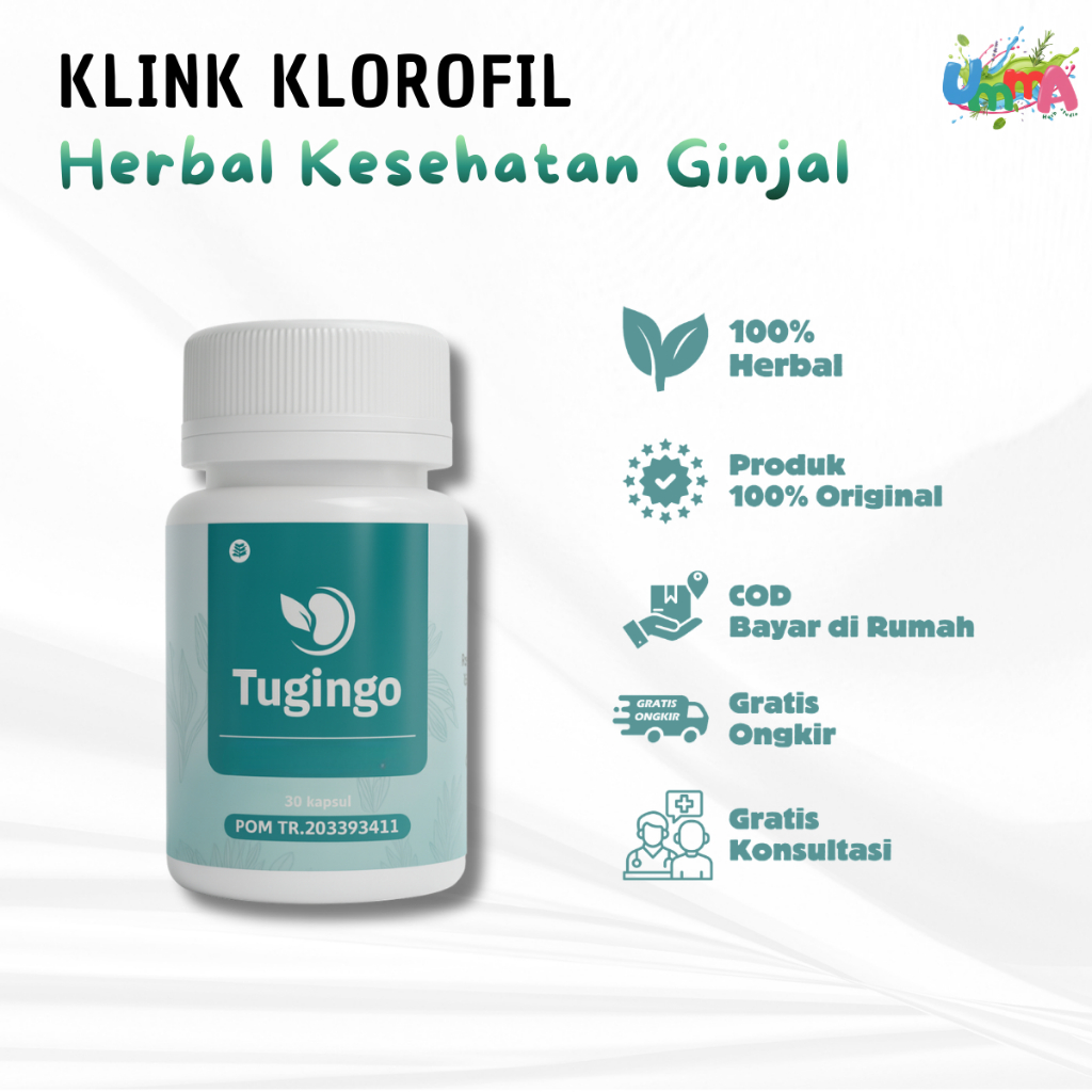Tugingo Herbal Obat Batu Ginjal Hernia Tugingo 30 Kapsul Original BPOM