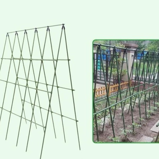 5 pcs Plant Stake / Ajir Tanaman / Ajir Turus Modern 11 mm x 180cm