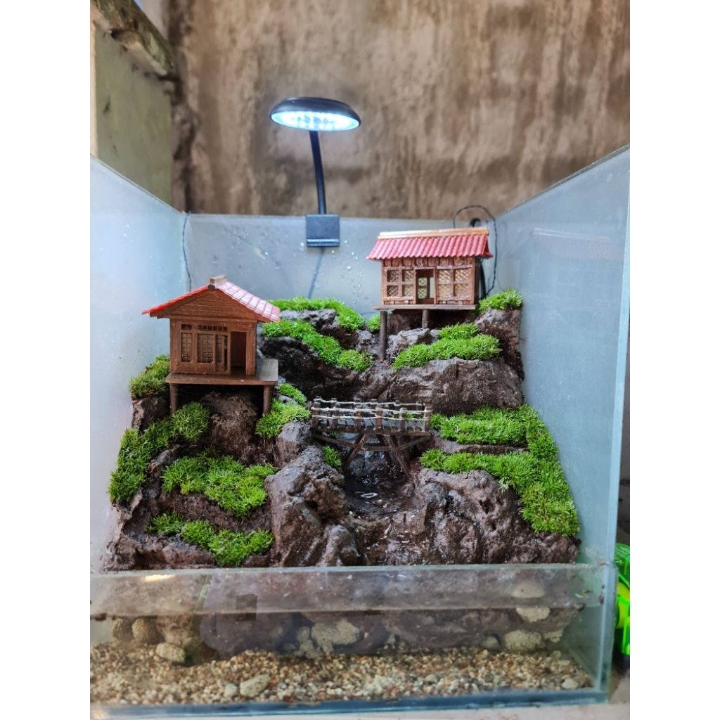 Paludarium- miniatur rumah trqdisional jepang
