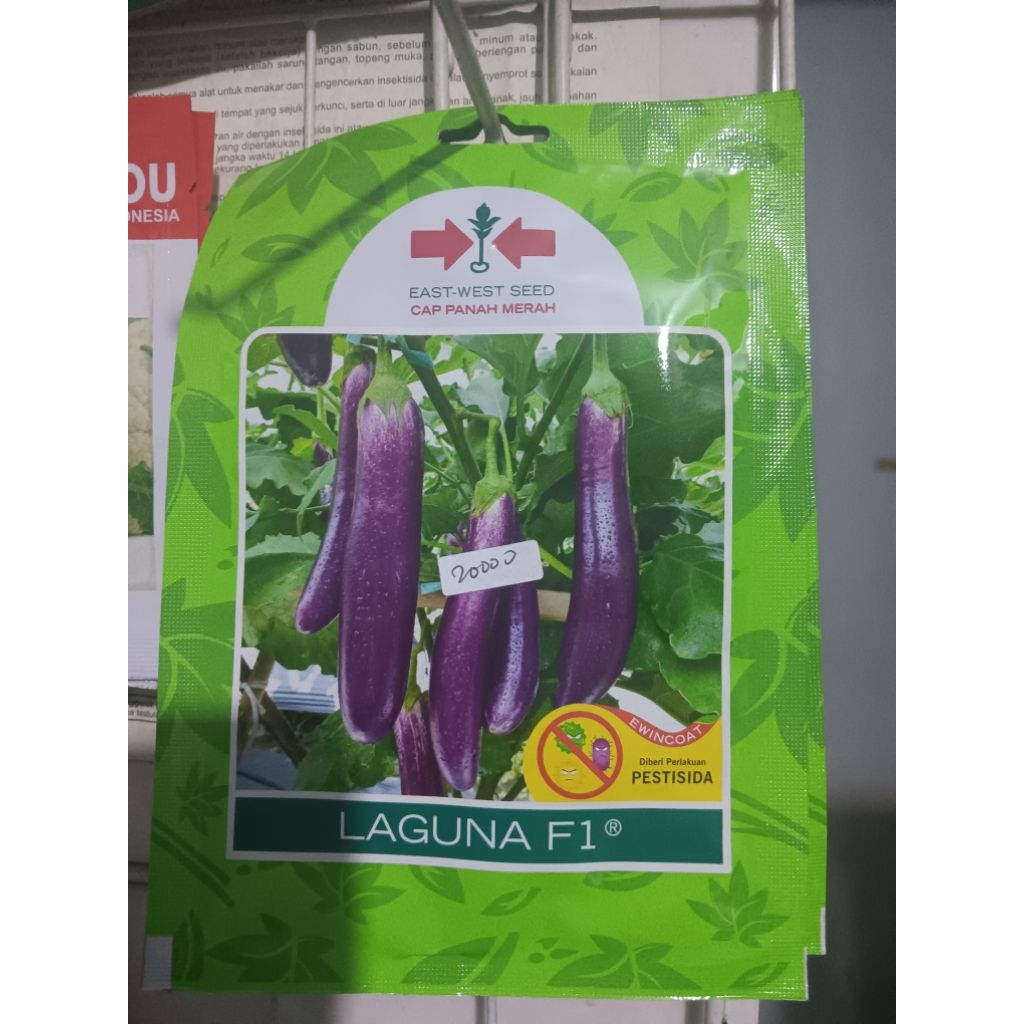 benih unggul terong ungu LAGUNA ISI 400 BUTIR