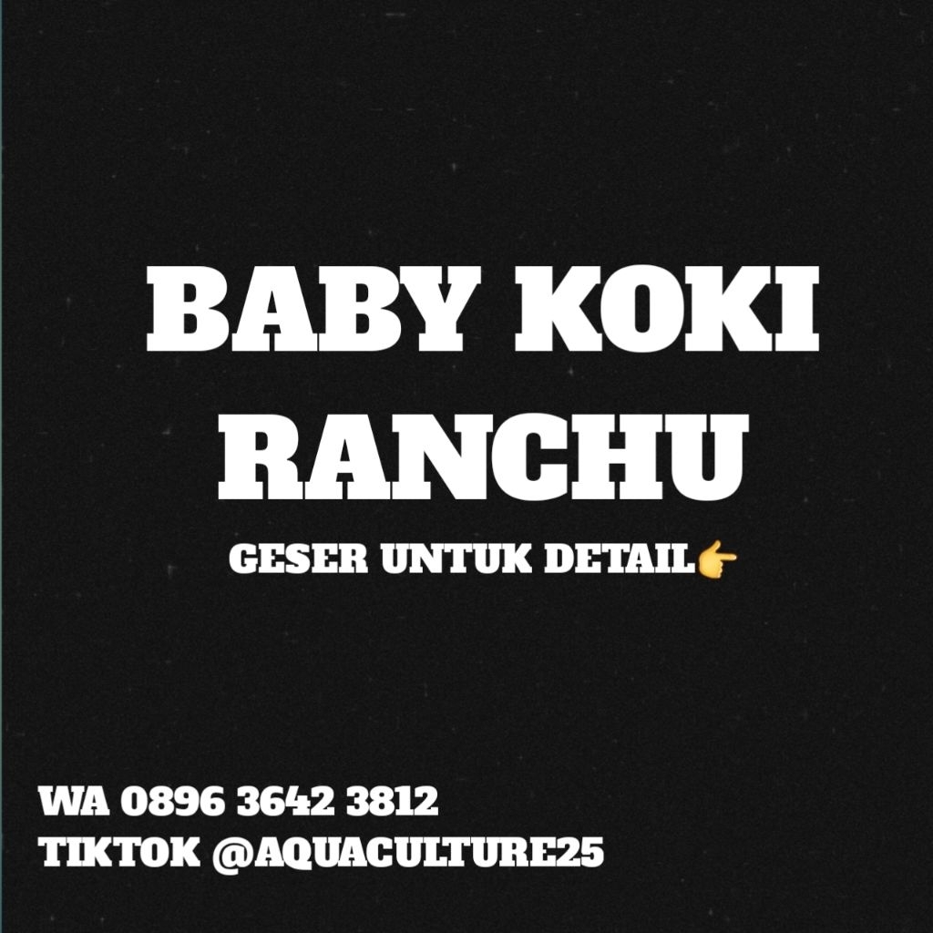 HERBAL LIFE BABY KOKI ORANDA