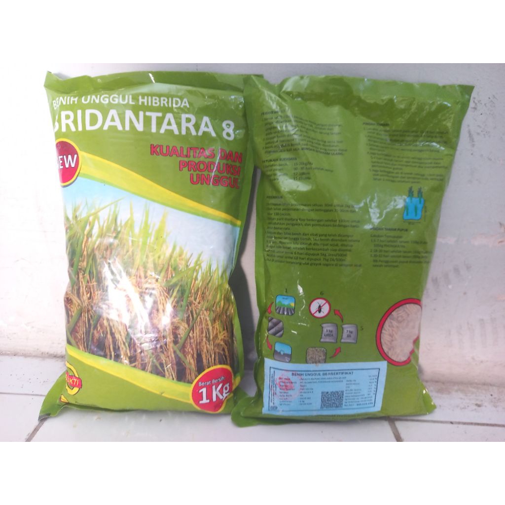 PADI HIBRIDA BRIDANTARA8