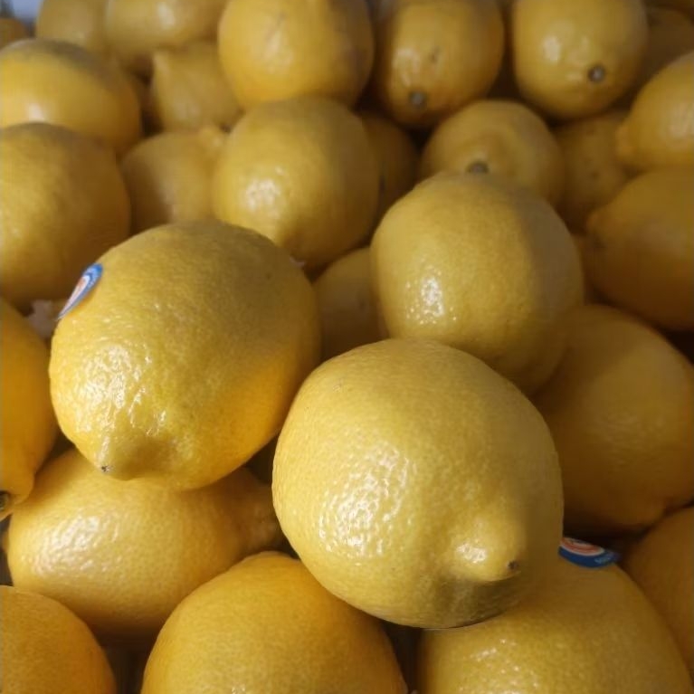 Jeruk Lemon 1 box/14kg