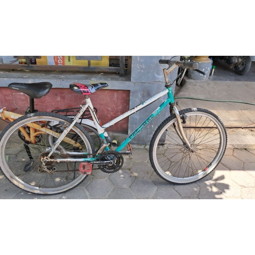 sepeda federal lady 26