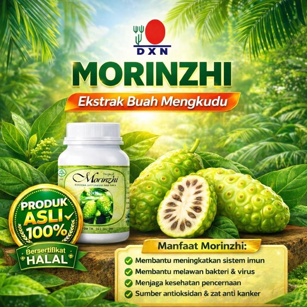 DXN Morinzhi Dxn Saripati Buah Mengkudu Mengandung Zat Nutrisi Terpenoid Zat Anti Bakteri Scolopetin