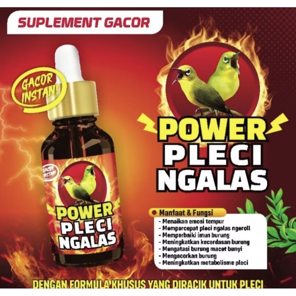 POWER PLECI NGALAS VITAMIN BURUNG PLECI DOPING DOSIS TINGGI METABOLIS BURUNG SUPER METABOLISME