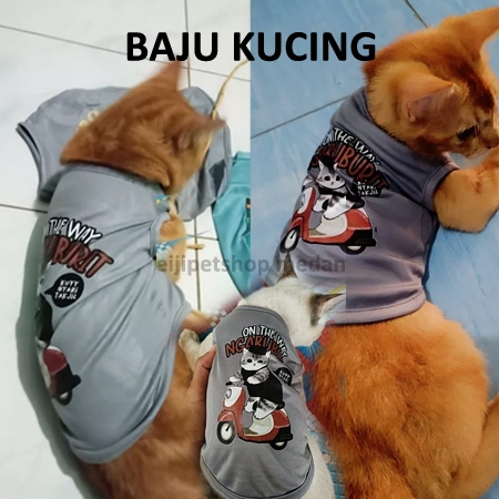 Baju Kucing Baju Anak Kucing Baju anjing kecil Pakaian Kucing Kaos Kucing