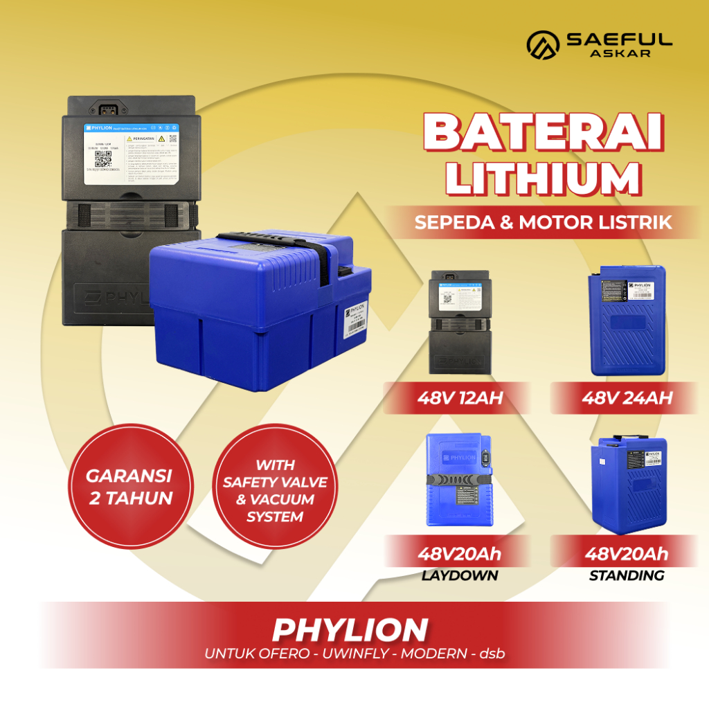 Phylion Baterai Lithium Sepeda Listrik 48V 12Ah Motor Listrik 48V 20Ah lithium Pabrikan Garansi 2 Ta