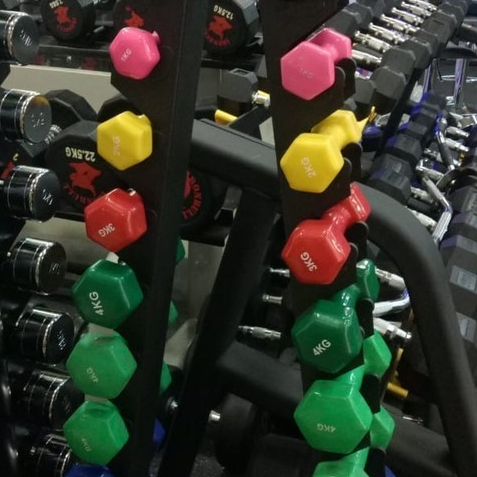 dumbel set vinyl dumbel barbel dumbel neurophrene new