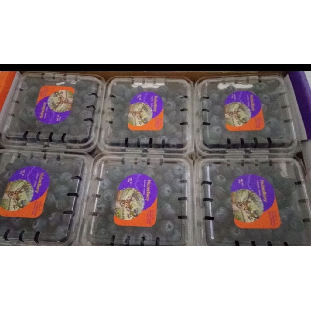 blueberry fresh bagus fresh 125 g