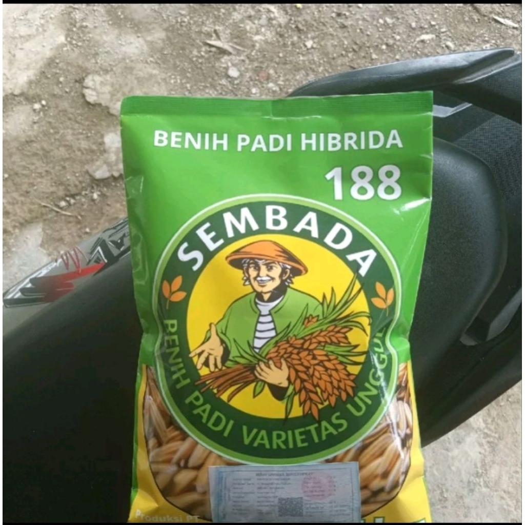 (1KG) BENIH PADI HIBRIDA SEMBADA 188 BERKUALITAS UNGGUL