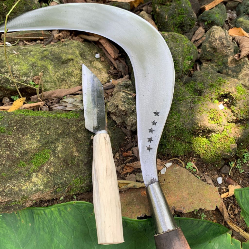 ARIT RUMPUT MADURA ori cap bintang lima