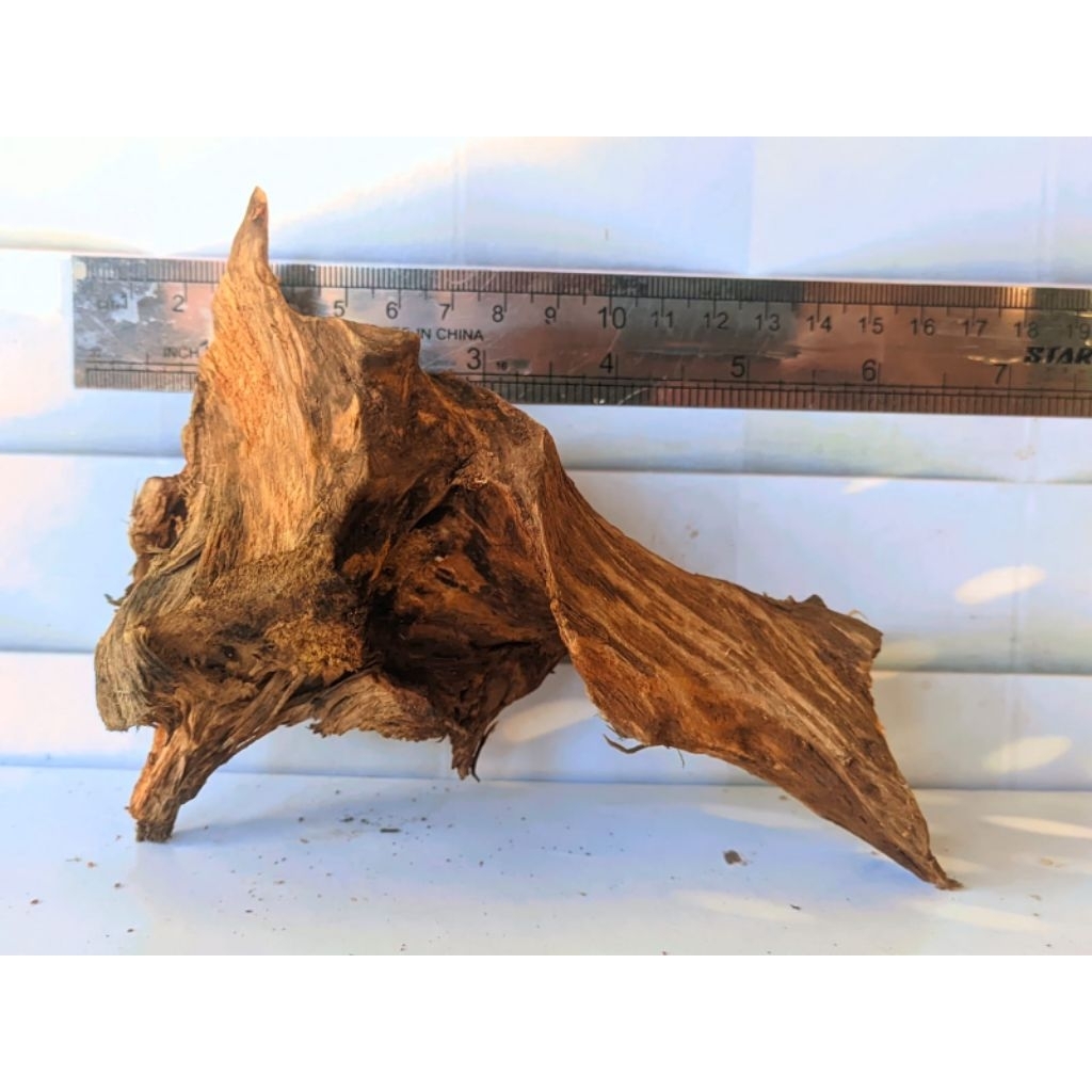 Kayu rentek mini sudah tenggelam