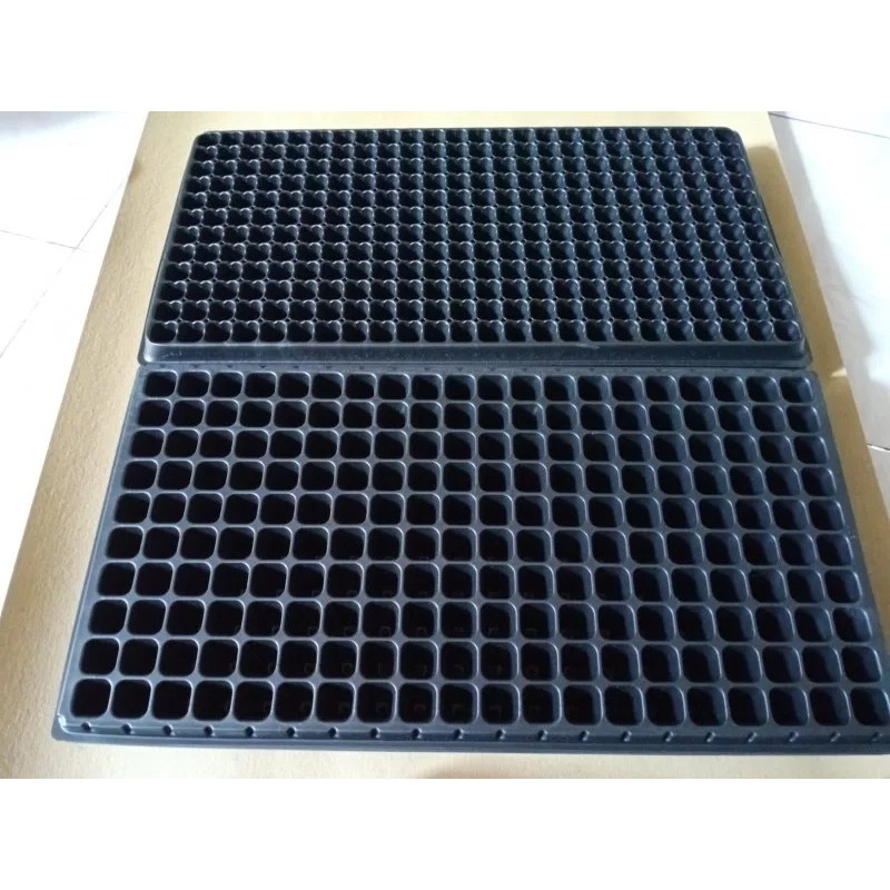 Tray Semai 200 Lubang Tebal dan Bagus