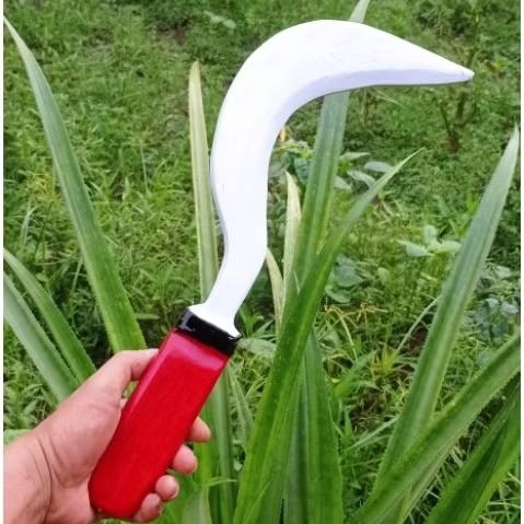 celurit sakera - celurit mainan - celurit kayu - celurit peraga - celurit silat - celurit ipsi - cel