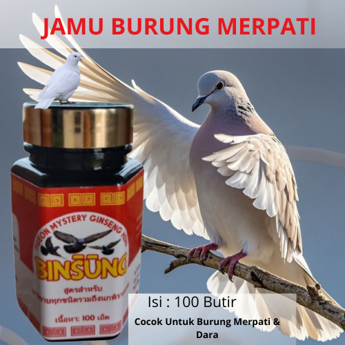 BINSUNG Jamu Vitamin dan Suplemen Burung Merpati Dara Dengan Extra Ginseng Teki Meningkatkan Perform