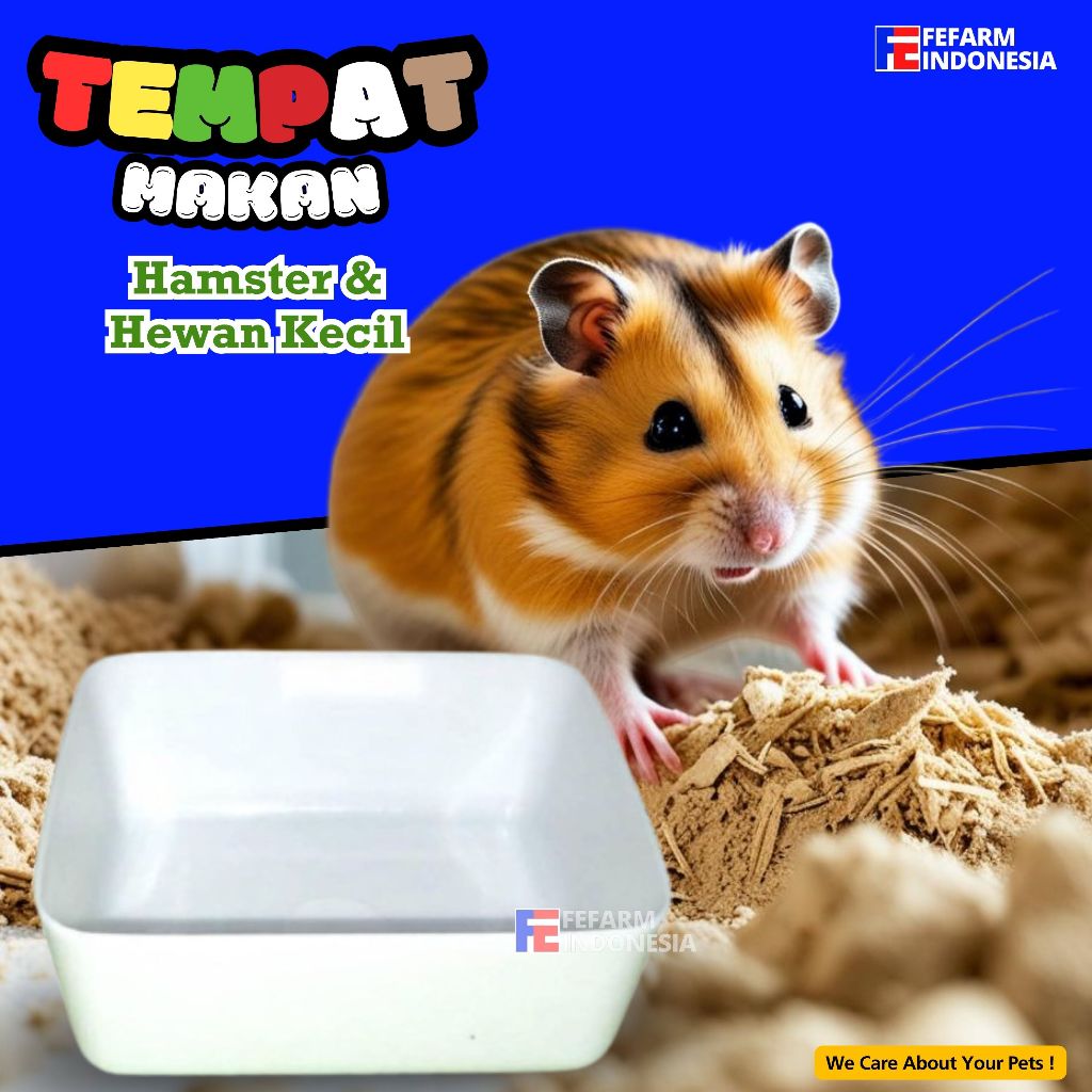 Mangkok Kotak Putih Tempat Makan Hamster Mangkuk Sugar Glider FEFARM