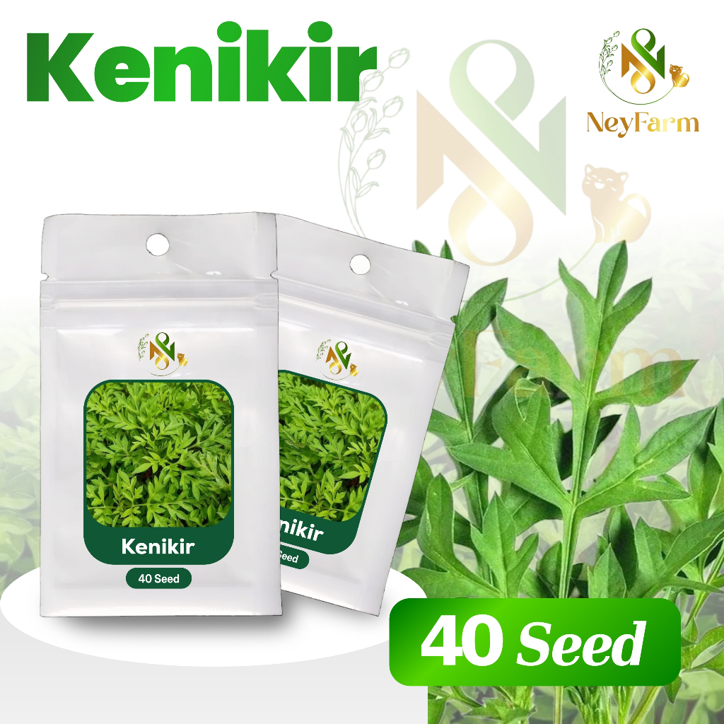 40 Biji Benih Kenikir Sayuran Kenikir Benih Sayur Berkualitas
