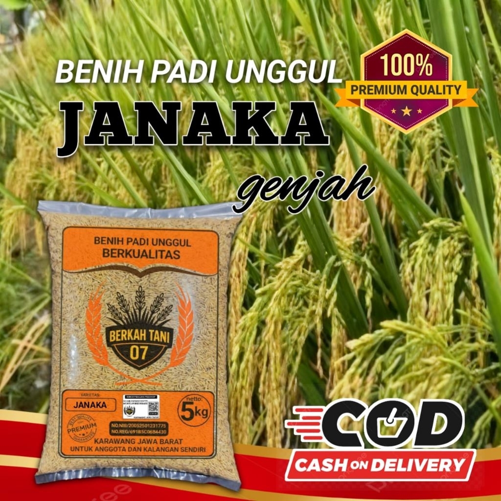 Benih padi janaka genjah umur pendek 5kg