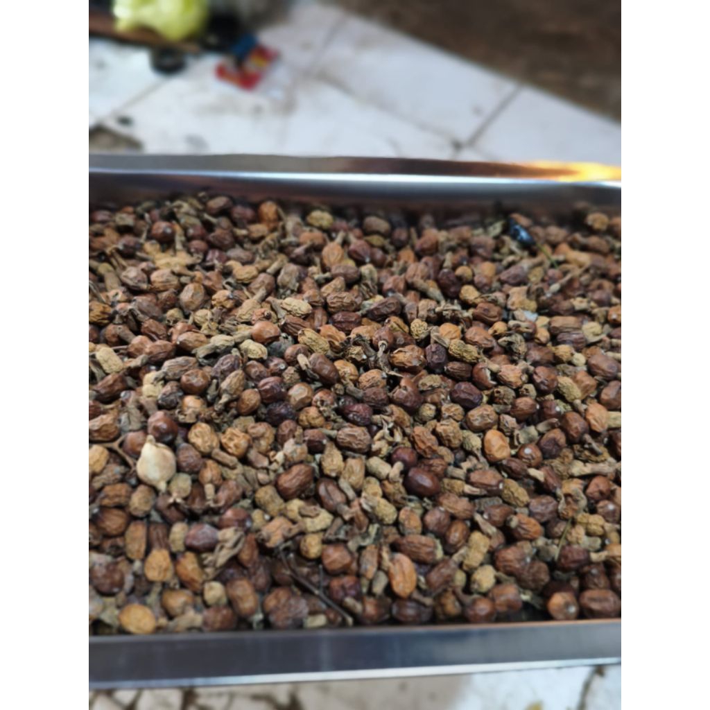 kembang buah laja1kg/Laos rempah rempah alami