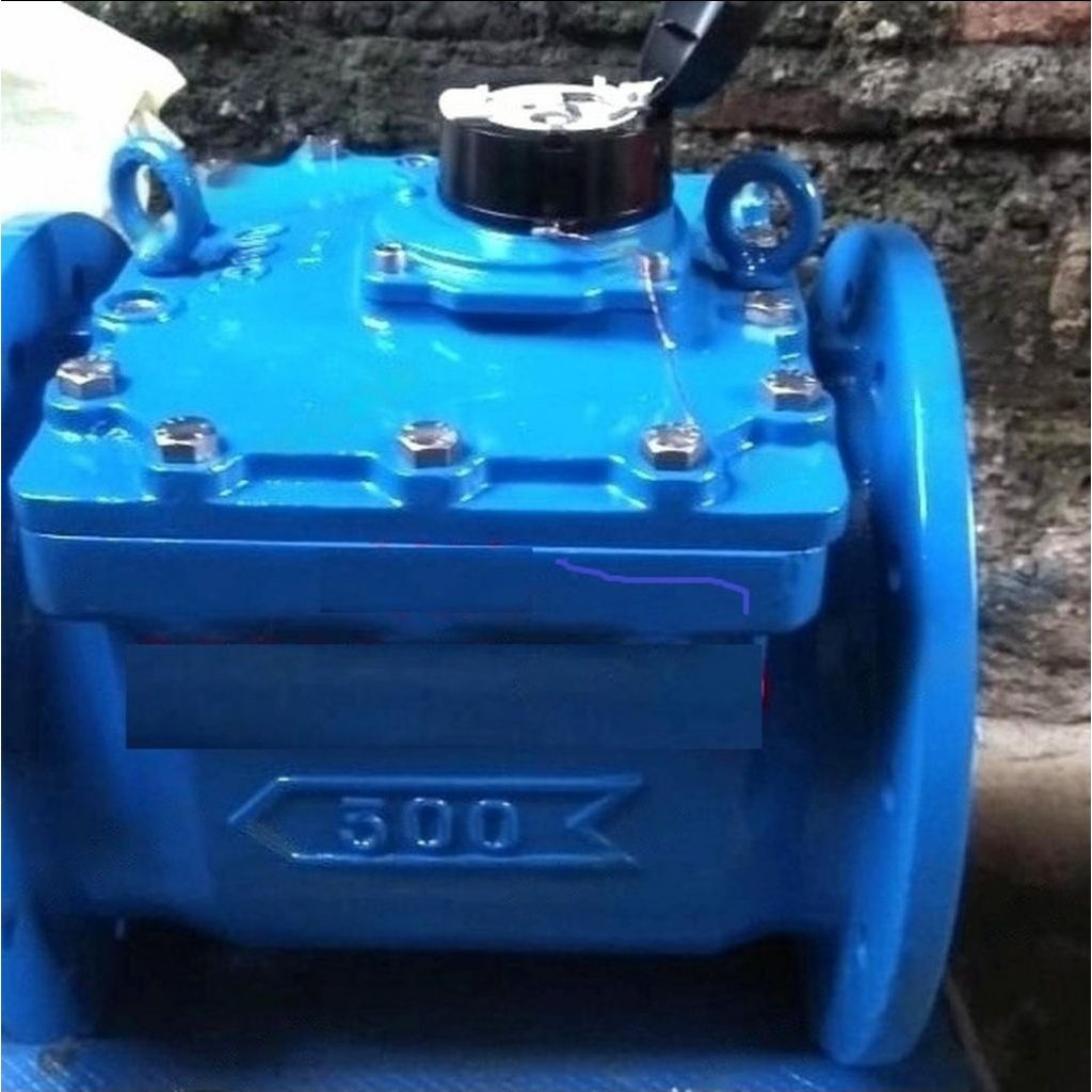 Jual Water Meter Merk ITRON size 12 inch DN 300mm type WOLTEX WEG 300/Meteran Air Bersih Merk ITRON 