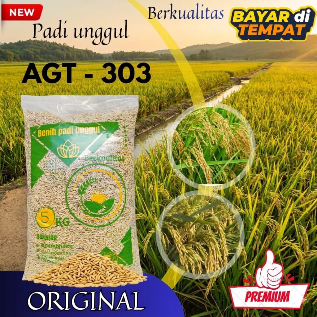 BENIH PADI AGT 303 BIBIT PADI UNGGUL BERKUALITAS PREMIUM 5KG RASA NASI PULEN