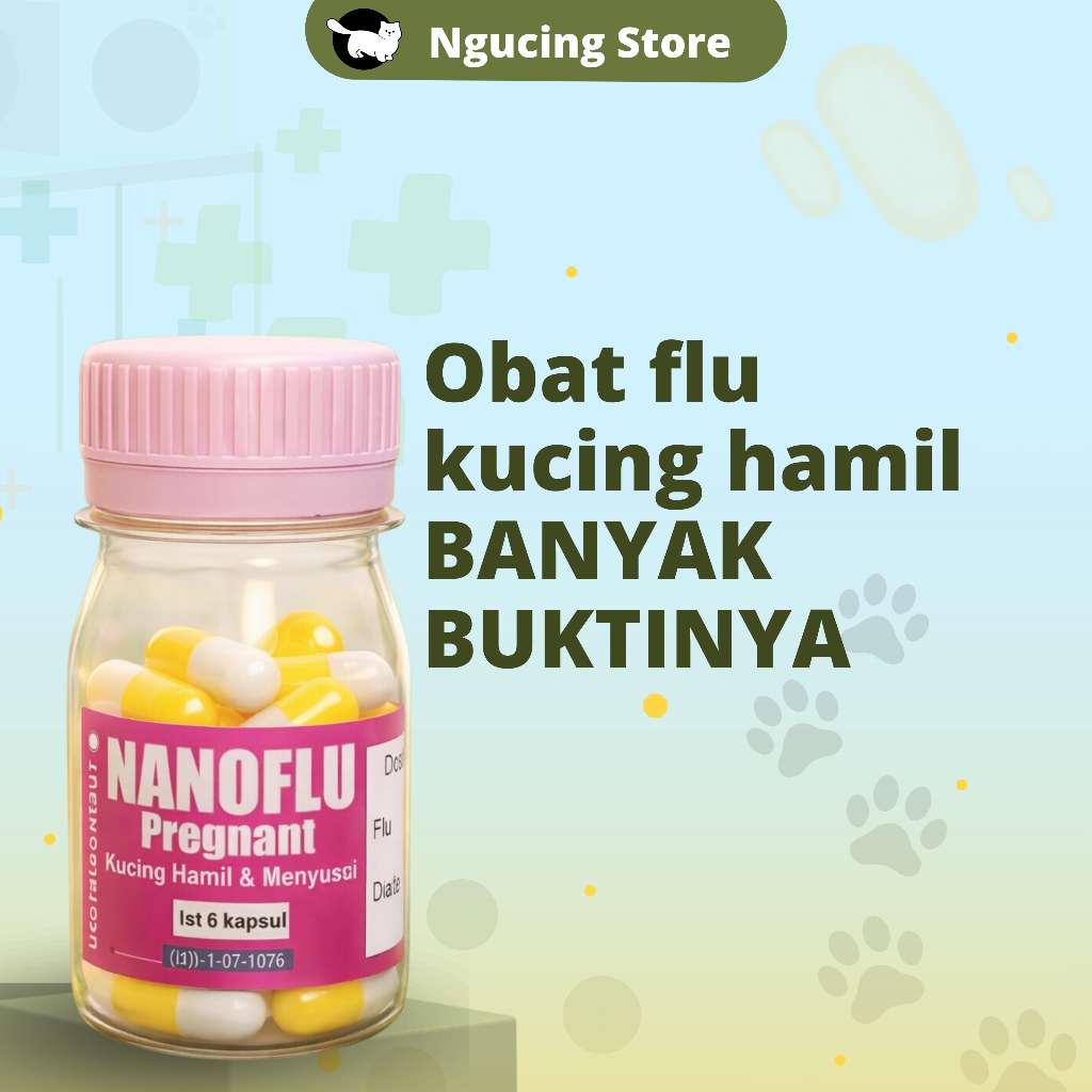 Nano flu Pregnant obat flu diare untuk kucing hamil dan menyusui