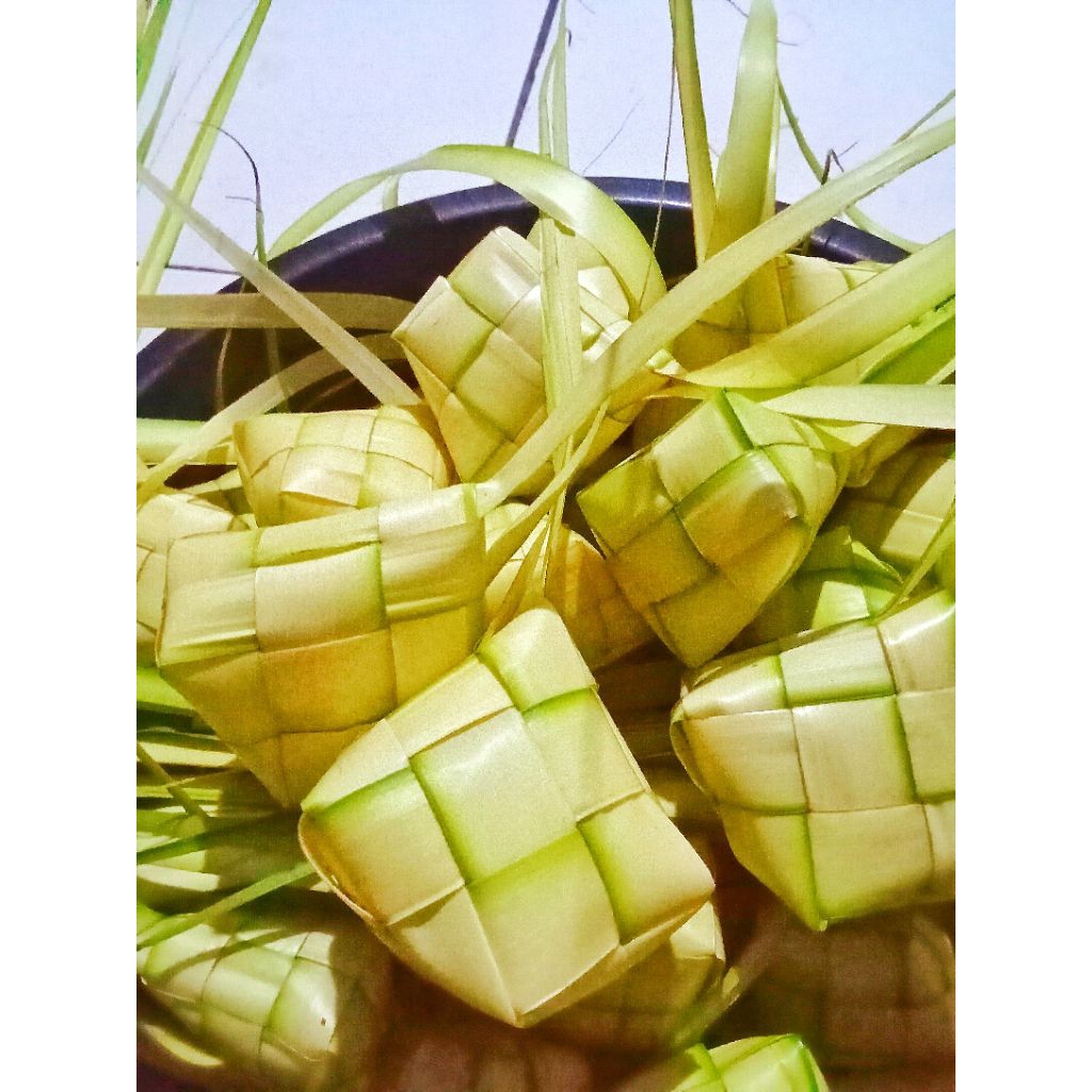 ketupat daun kelapa