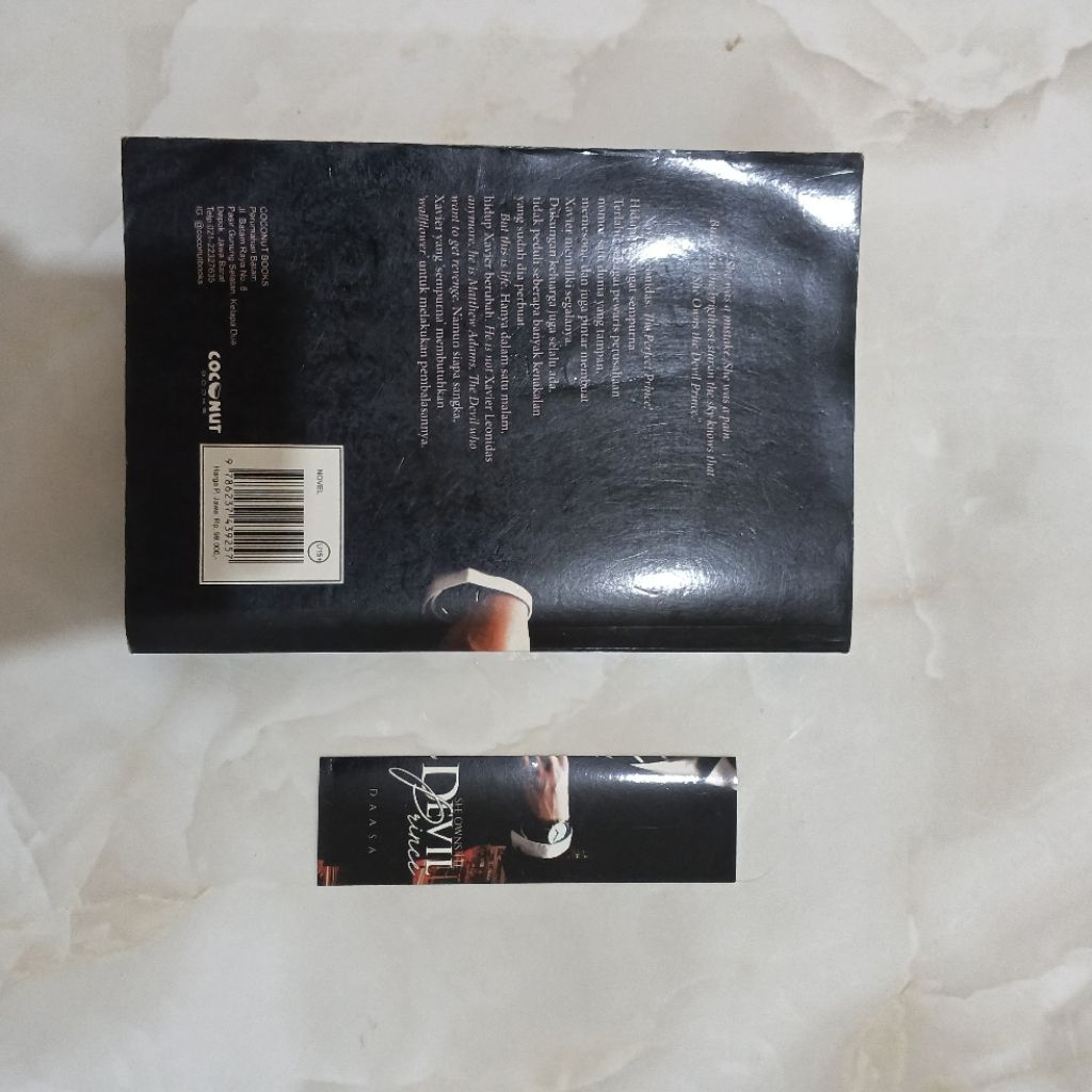 SHE OWN THE DEVIL PRINCE — NOVEL PRELOVED