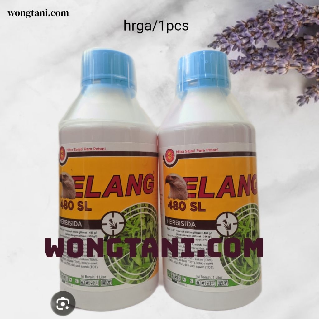 herbisida elang 480sl 1liter membasmi gulma elang herbisida