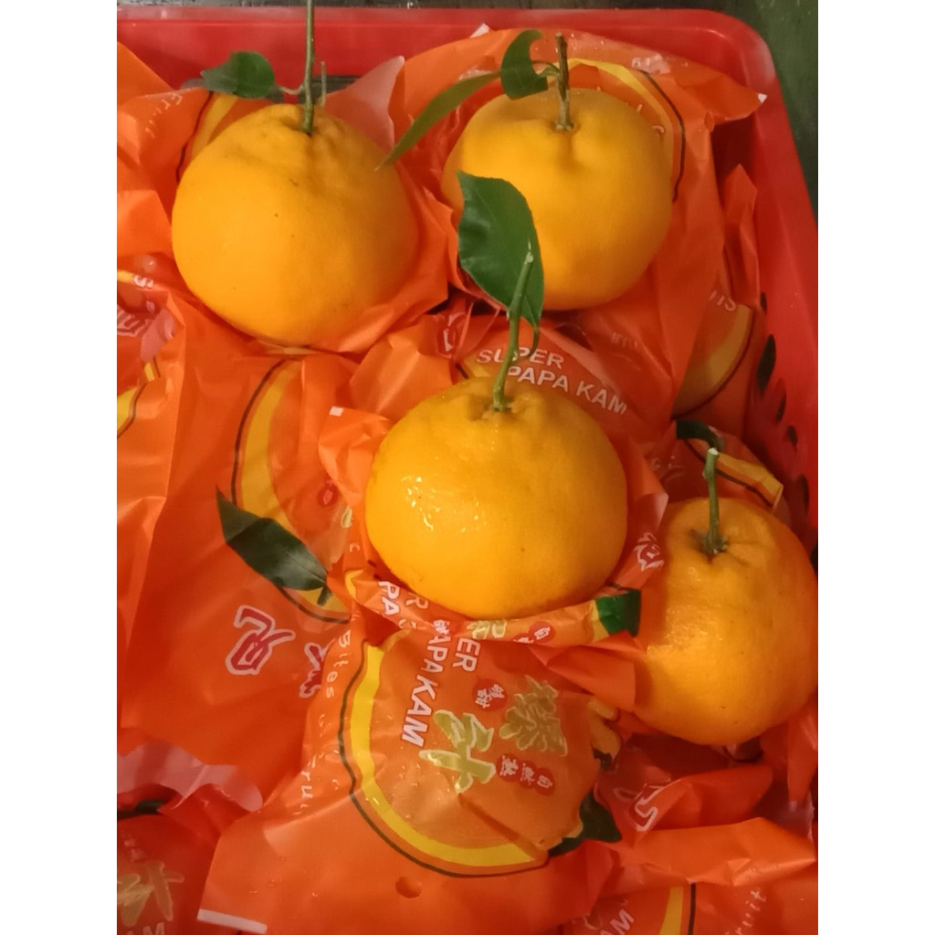 Jeruk Dekopon Manis Fresh 1 kg