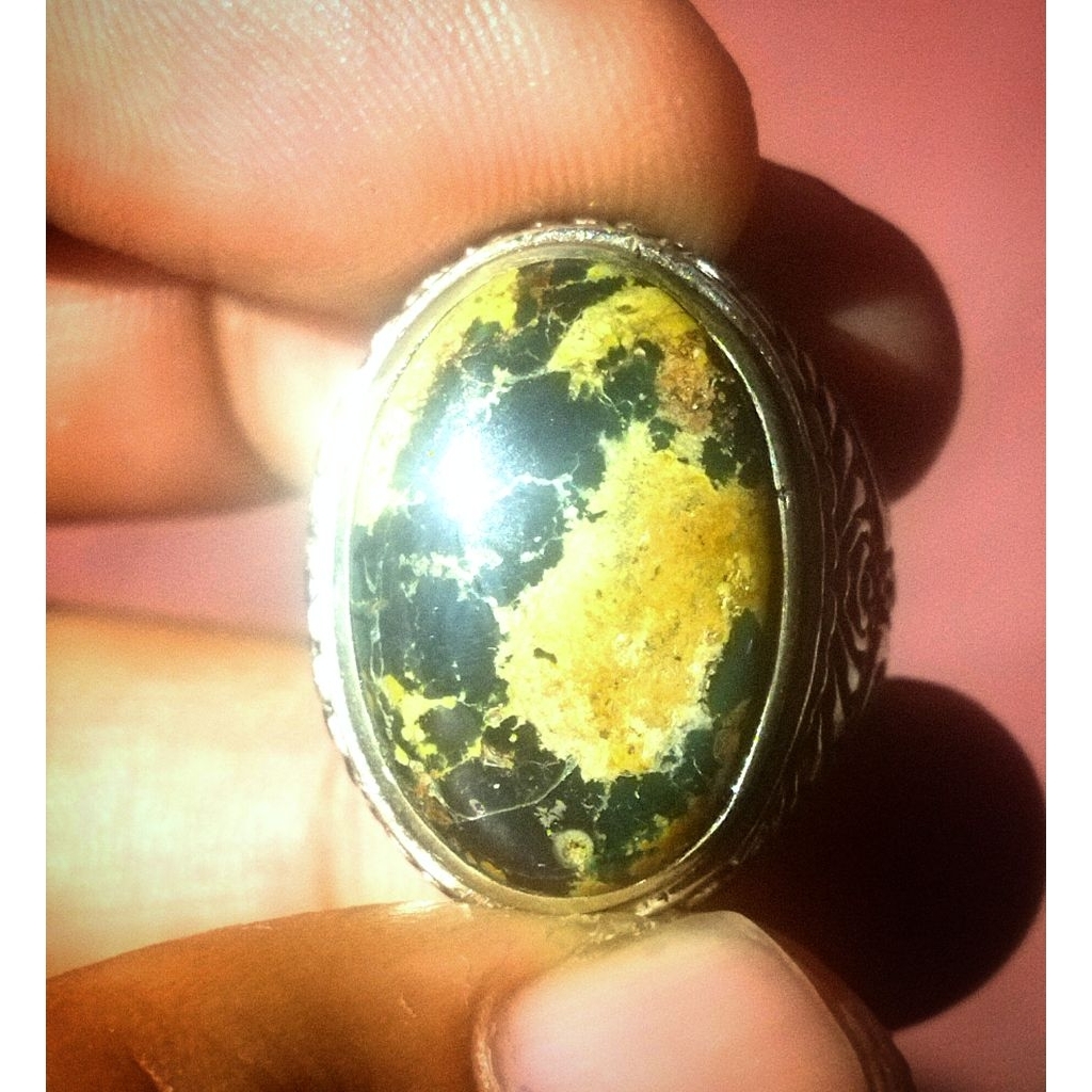 Pirus Persia Hitam Serat Emas Mumbul