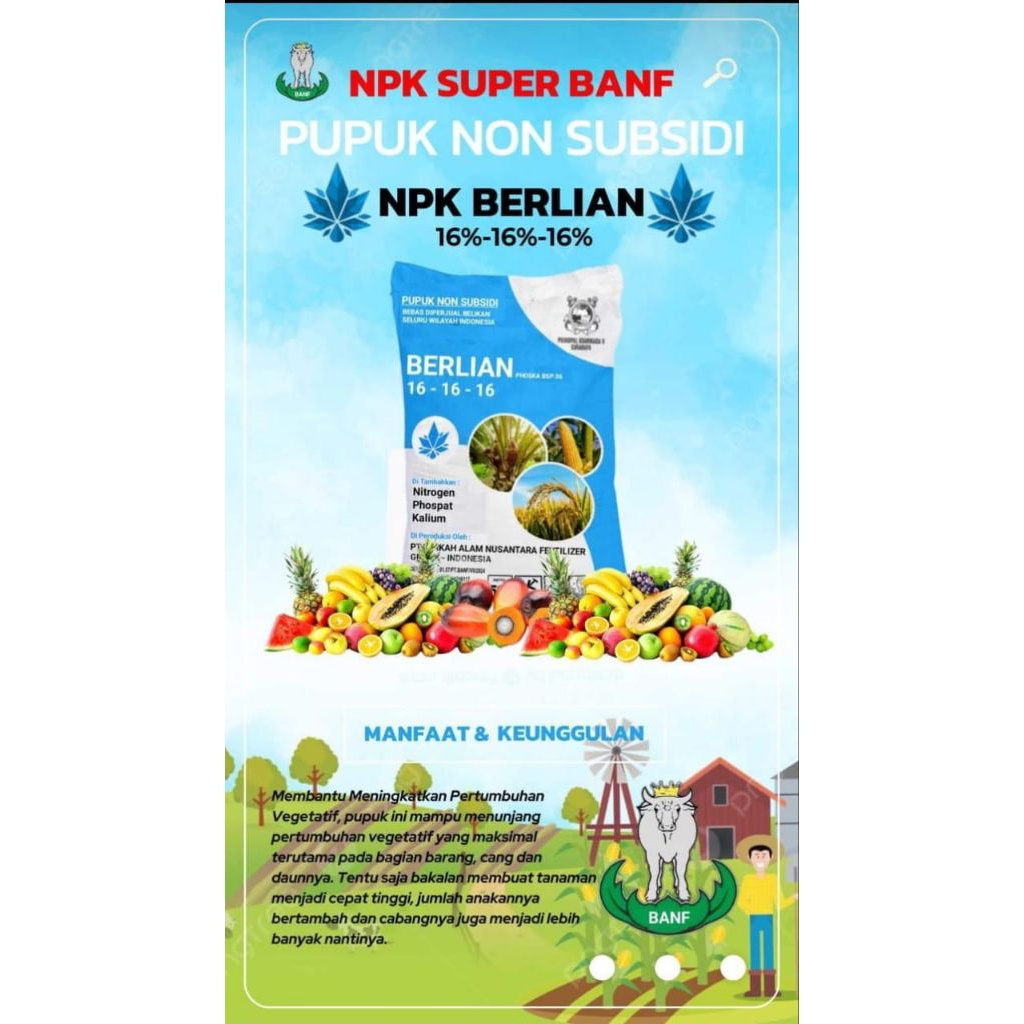 NPK 16-16-16 SUPER 50kg