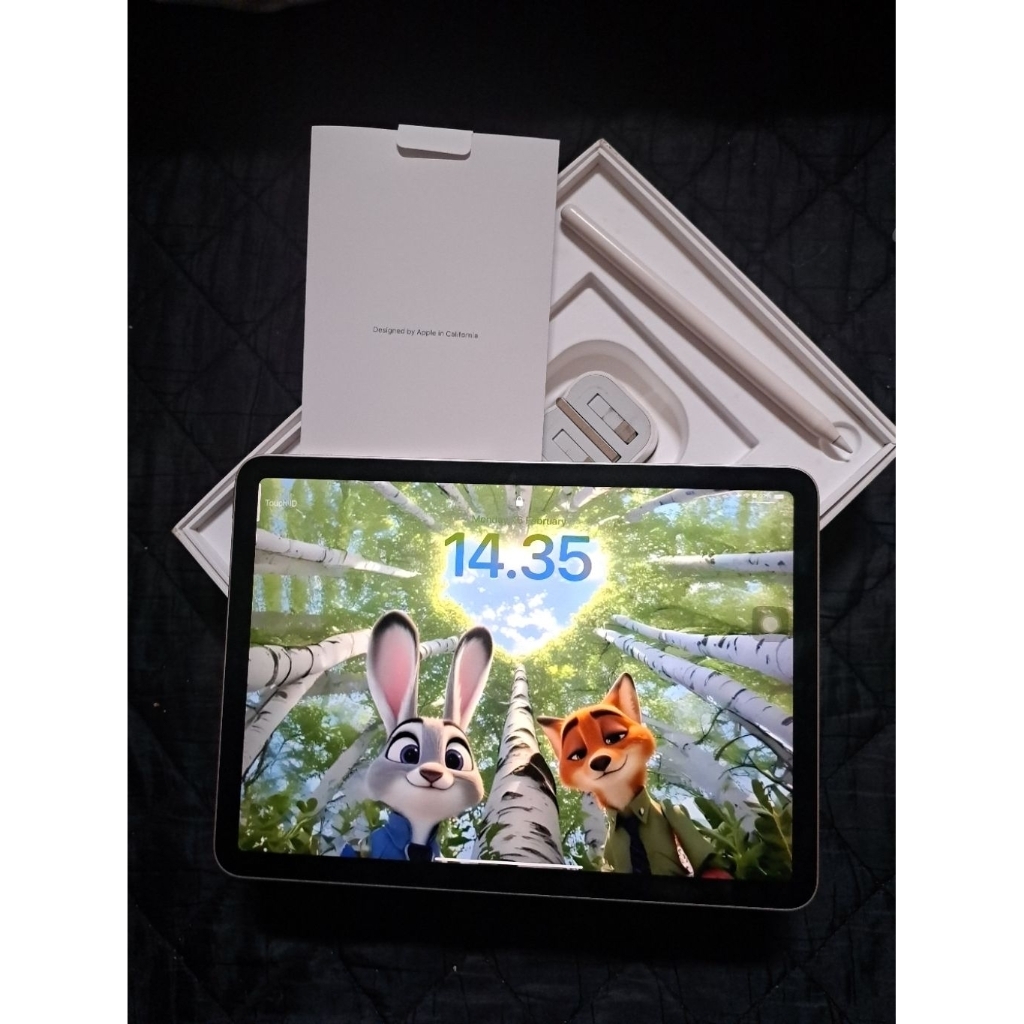 iPad Air 5 64 GB Second mulus