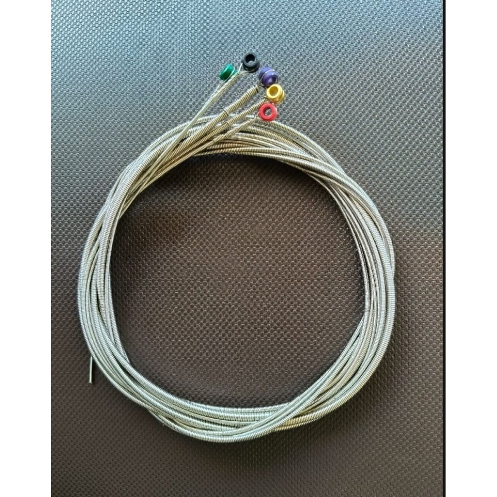 ORIGINAL SENAR BASS USA 5 STRING UNPACK