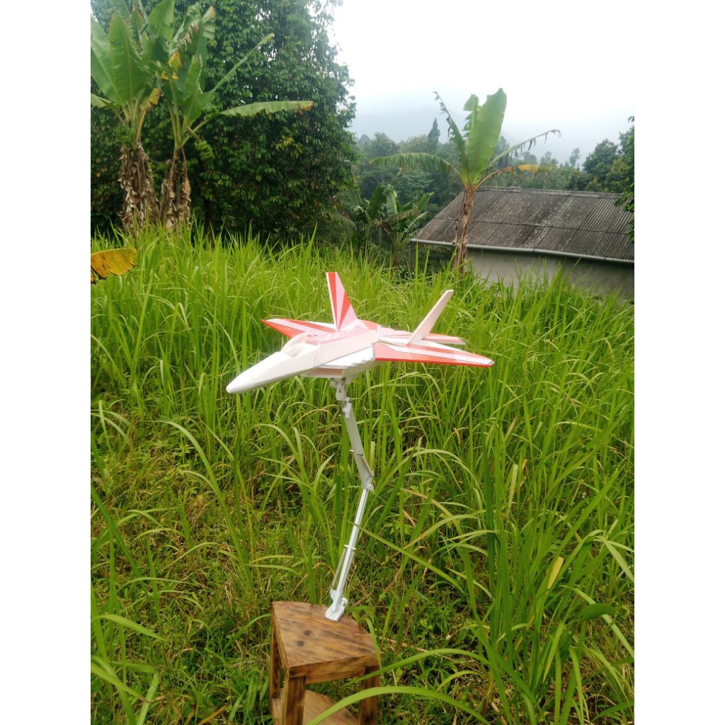 kit pesawat rc f22 dari bahan depron sudah teruji terbang dan sangat mudah dikendalikan