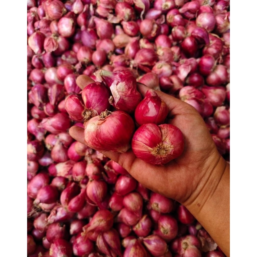 Bawang merah besar 1 kg