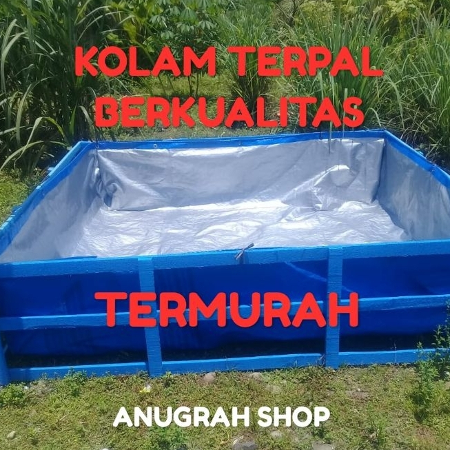 Terpal Kolam Ikan 300x100x50 A5 TEBAL Kolam Terpal Budidaya