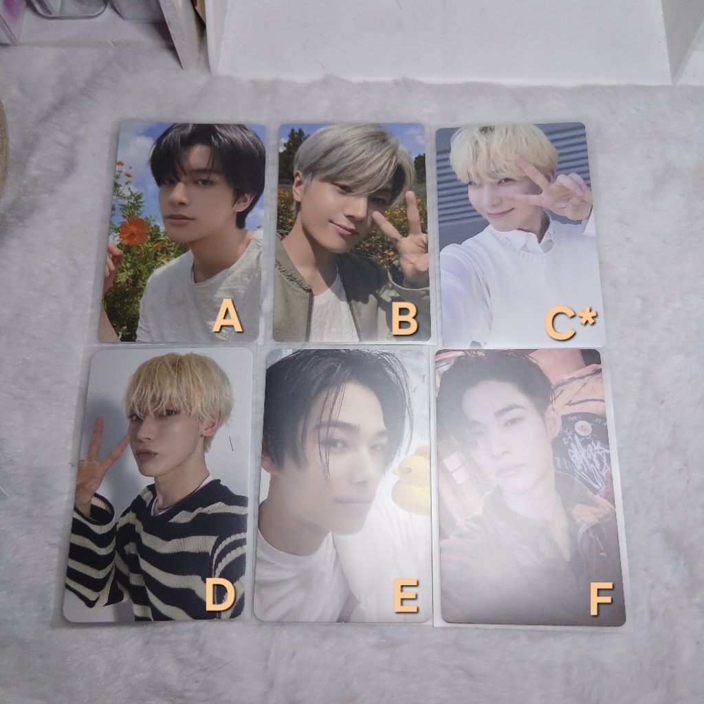 Photocard Enhypen Official