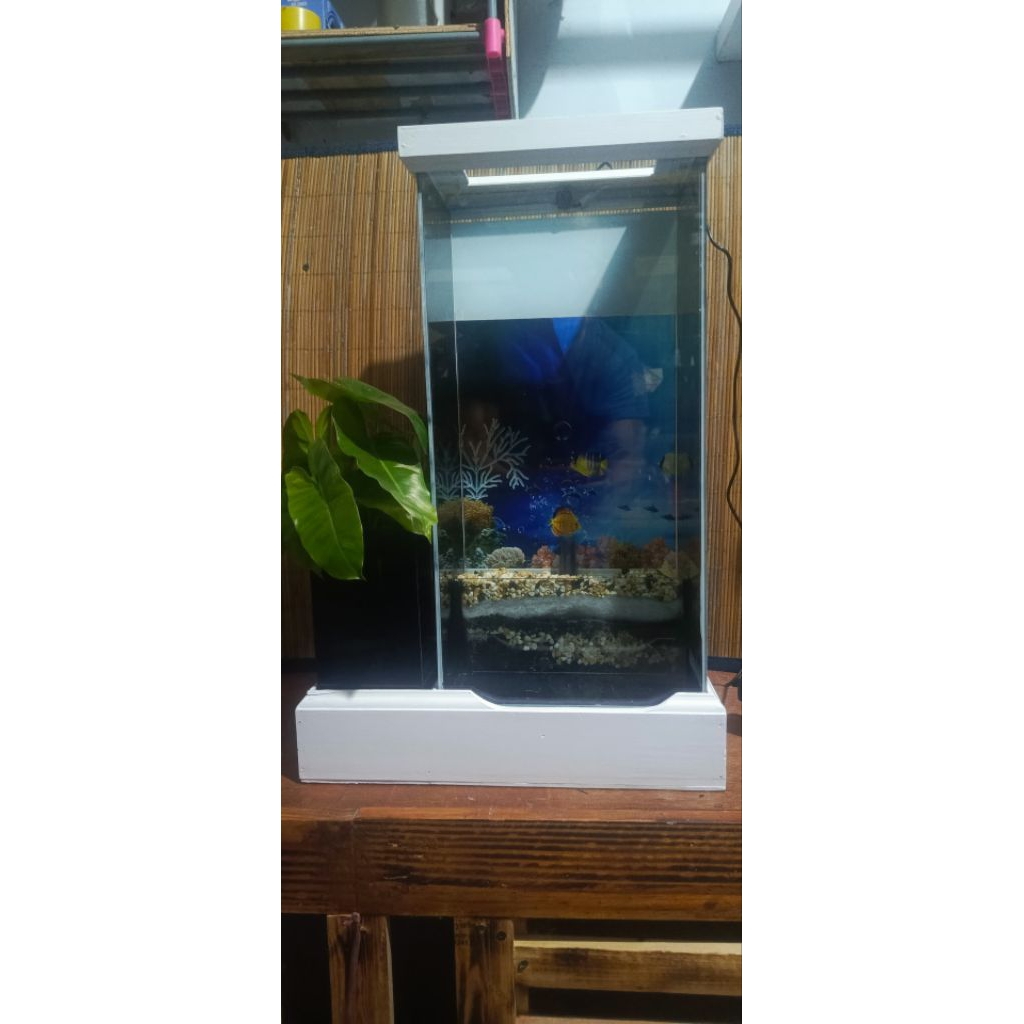 Akuarium mini