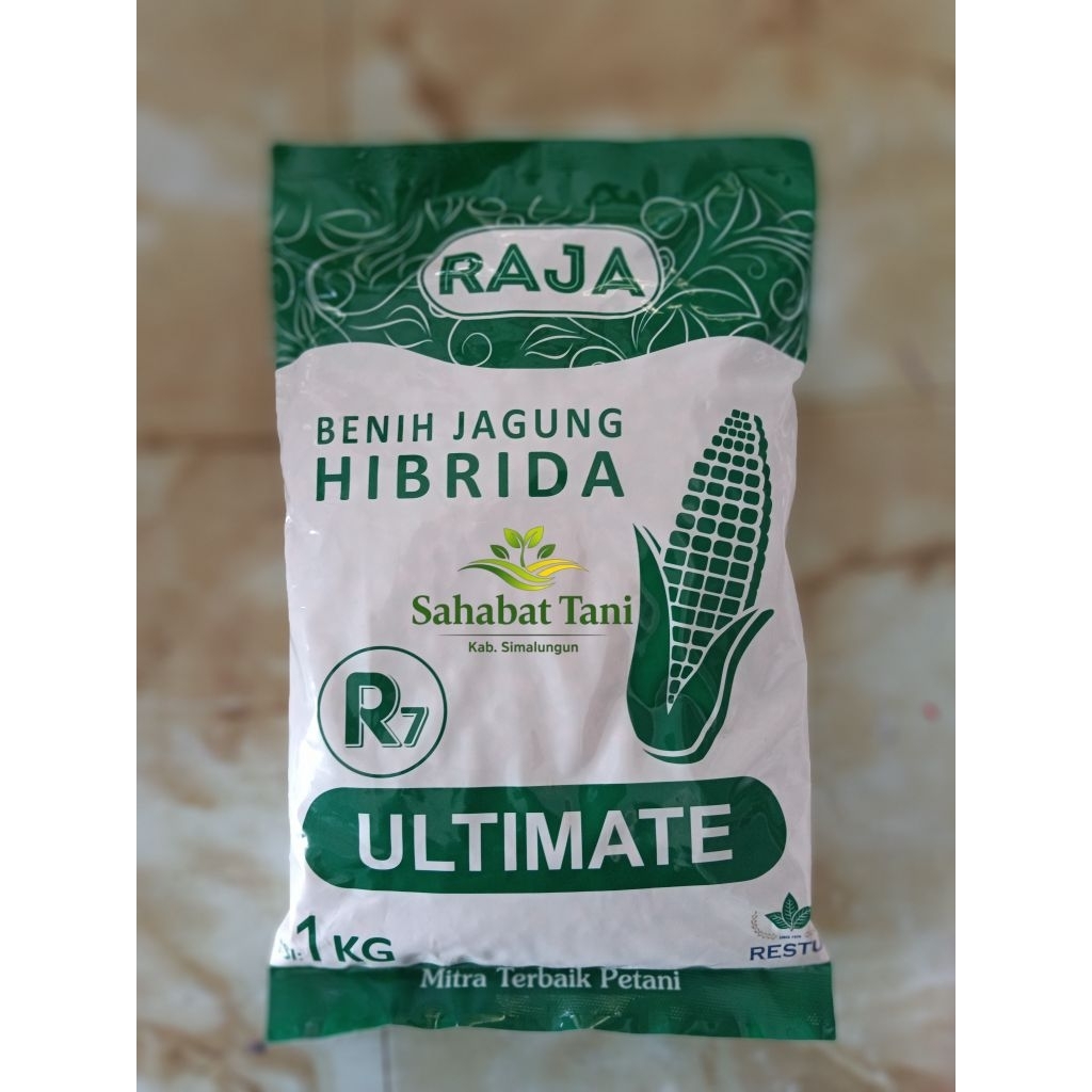 1kg Benih Jagung Hibrida RAJA R7 Ultimate